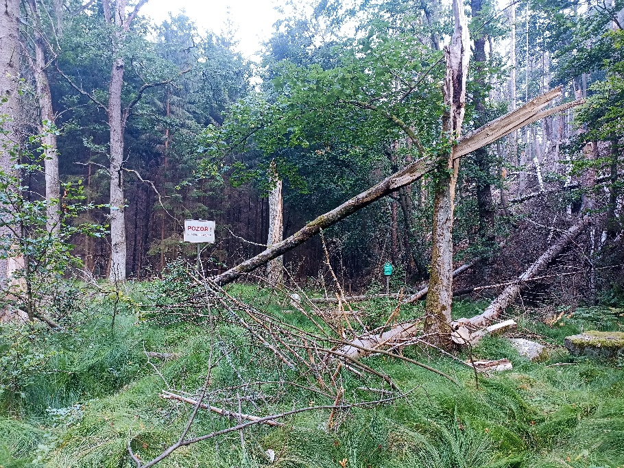 odřad hasičů z Plzeňského kraje ve Hřensku (20).jpg