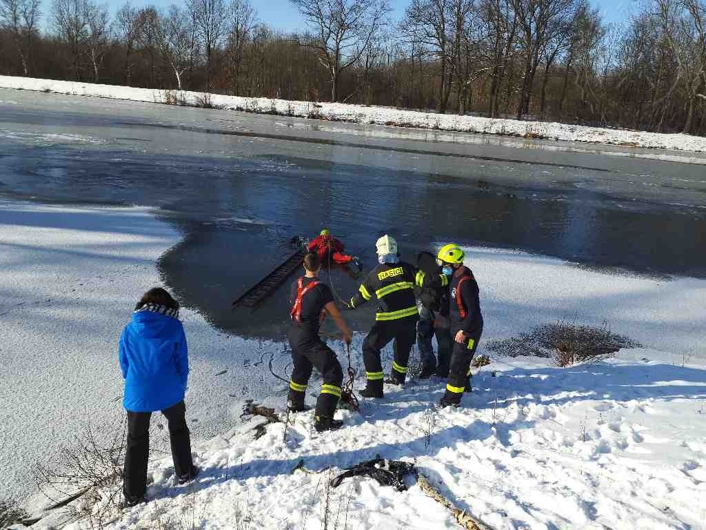 pes ve vodě13-2-2021.jpg