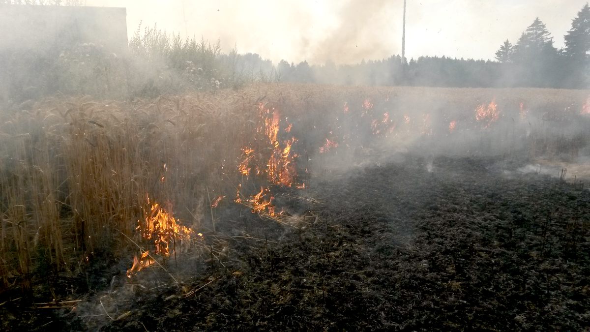 požáy pole Habartov.jpg