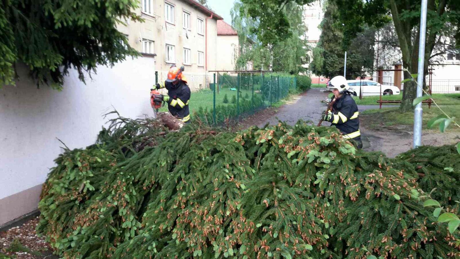 strom Pardubice.jpg