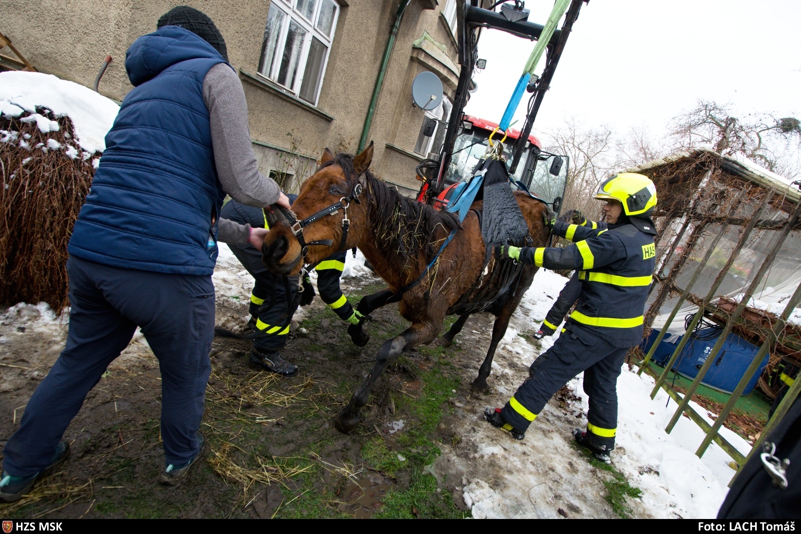 zachrana_kone_Ostrava_12.jpg