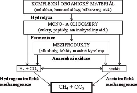 Čtyřfázový model anaerobní digesce.jpg 